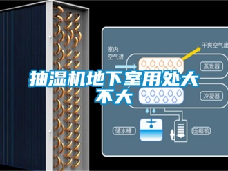 企業新聞抽濕機地下室用處大不大