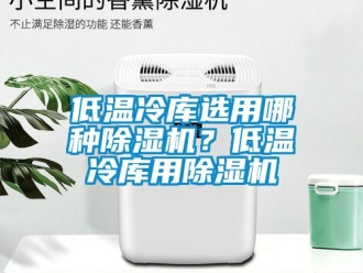 企業新聞低溫冷庫選用哪種除濕機？低溫冷庫用除濕機