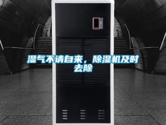 知識百科濕氣不請自來，除濕機及時去除