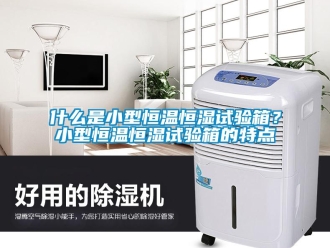 知識百科什么是小型恒溫恒濕試驗箱？小型恒溫恒濕試驗箱的特點