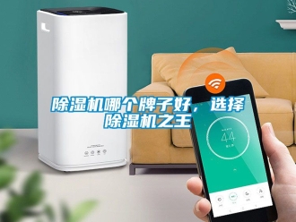 行業新聞除濕機哪個牌子好，選擇除濕機之王