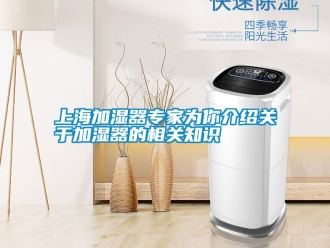 知識百科上海加濕器專家為你介紹關于加濕器的相關知識
