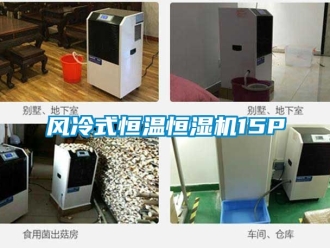 知識百科風冷式恒溫恒濕機15P