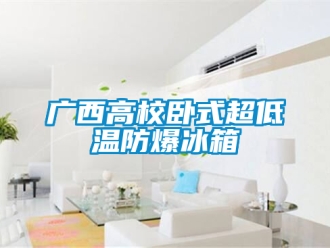 企業新聞廣西高校臥式超低溫防爆冰箱