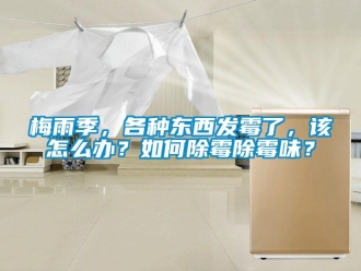 常見問題梅雨季，各種東西發(fā)霉了，該怎么辦？如何除霉除霉味？