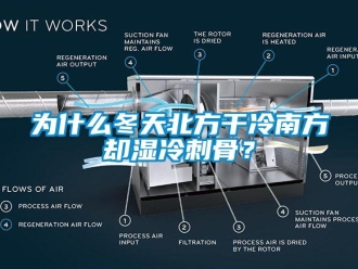 知識百科為什么冬天北方干冷南方卻濕冷刺骨？