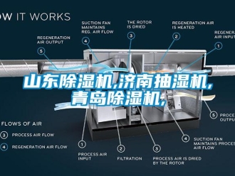 行業新聞山東除濕機,濟南抽濕機,青島除濕機,