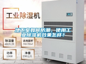 常見問題地下室如何防潮，使用工業除濕機效果怎樣？