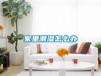 常見問題家里潮濕怎么辦