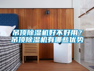 行業(yè)新聞吊頂除濕機(jī)好不好用？吊頂除濕機(jī)有哪些優(yōu)勢(shì)