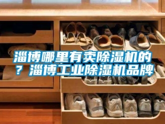常見問題淄博哪里有賣除濕機的？淄博工業除濕機品牌