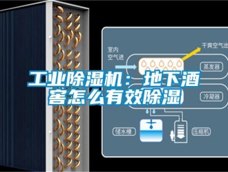 常見問題工業(yè)除濕機：地下酒窖怎么有效除濕