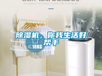 常見問題除濕機，你我生活好幫手