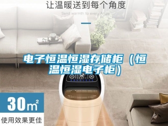 知識(shí)百科電子恒溫恒濕存儲(chǔ)柜（恒溫恒濕電子柜）