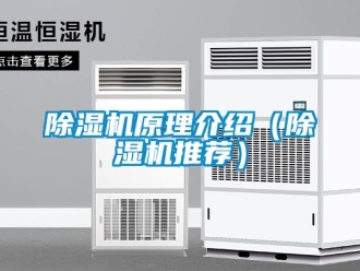 行業新聞除濕機原理介紹（除濕機推薦）