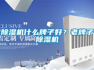 企業新聞除濕機什么牌子好？老牌子除濕機