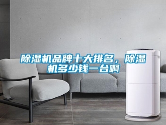 常見問題除濕機品牌十大排名，除濕機多少錢一臺啊