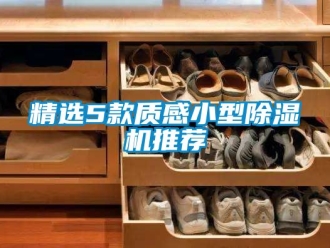 行業(yè)新聞精選5款質(zhì)感小型除濕機(jī)推薦