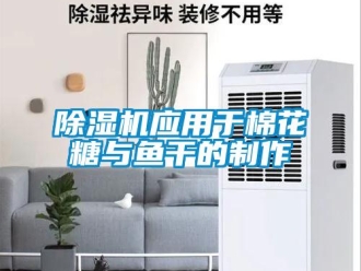 企業(yè)新聞除濕機(jī)應(yīng)用于棉花糖與魚干的制作