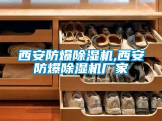 企業新聞西安防爆除濕機,西安防爆除濕機廠家