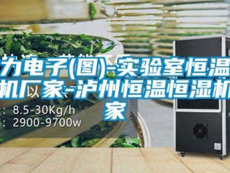 知識百科至力電子(圖)-實(shí)驗(yàn)室恒溫恒濕機(jī)廠家-瀘州恒溫恒濕機(jī)廠家