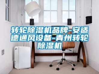 常見問題轉(zhuǎn)輪除濕機(jī)品牌-安適德通風(fēng)設(shè)備-青州轉(zhuǎn)輪除濕機(jī)