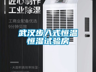 知識百科武漢步入式恒溫恒濕試驗房