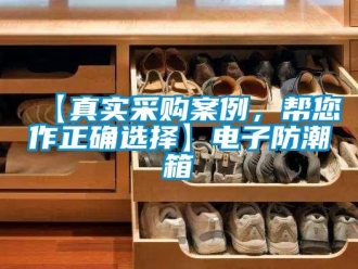 企業(yè)新聞【真實(shí)采購案例，幫您作正確選擇】電子防潮箱