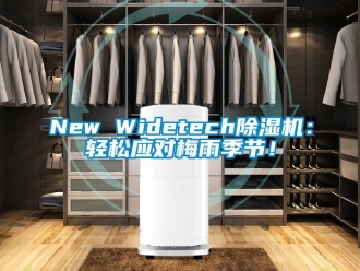 企業(yè)新聞New Widetech除濕機：輕松應(yīng)對梅雨季節(jié)！