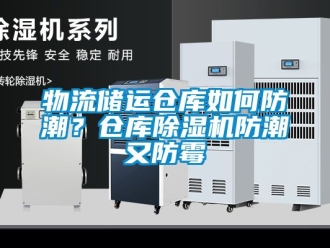 企業(yè)新聞物流儲運(yùn)倉庫如何防潮？倉庫除濕機(jī)防潮又防霉