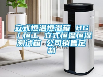 知識(shí)百科立式恒溫恒濕箱 HG／恒工 立式恒溫恒濕測(cè)試箱 公司銷售定制