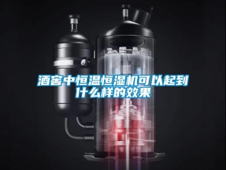 知識百科酒窖中恒溫恒濕機可以起到什么樣的效果