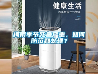 常見問題梅雨季節死魚嚴重，如何防范和處理？