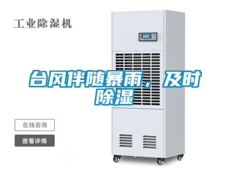 知識百科臺風(fēng)伴隨暴雨，及時(shí)除濕