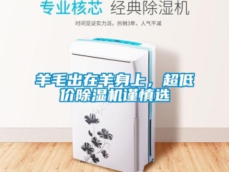 知識百科羊毛出在羊身上，超低價除濕機謹(jǐn)慎選
