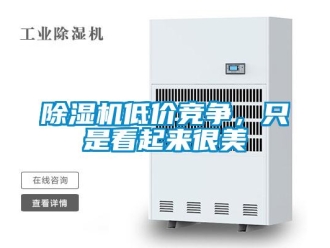 企業新聞除濕機低價競爭，只是看起來很美