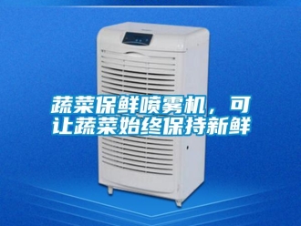 知識百科蔬菜保鮮噴霧機，可讓蔬菜始終保持新鮮