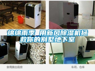 行業新聞綿綿雨季 用新風除濕機拯救你的別墅地下室