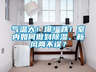 企業新聞氣溫大！爆！跌！室內如何做到除濕、新風兩不誤？