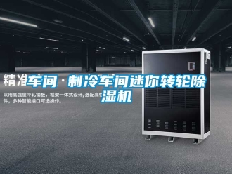 常見問題車間 制冷車間迷你轉(zhuǎn)輪除濕機