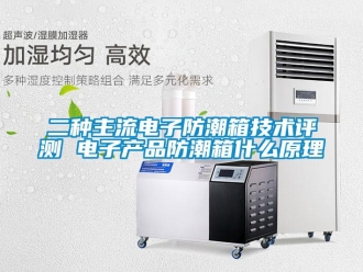 常見問題二種主流電子防潮箱技術(shù)評測 電子產(chǎn)品防潮箱什么原理