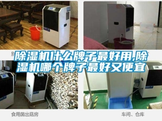 行業新聞除濕機什么牌子最好用,除濕機哪個牌子最好又便宜