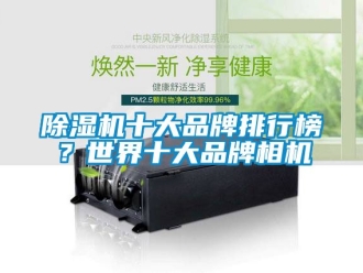企業新聞除濕機十大品牌排行榜？世界十大品牌相機
