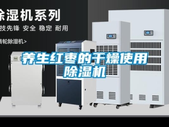 知識百科養生紅棗的干燥使用除濕機