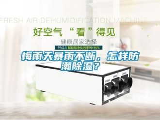 常見問題梅雨天暴雨不斷，怎樣防潮除濕？