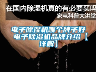 企業(yè)新聞電子除濕機哪個牌子好 電子除濕機品牌介紹【詳解】