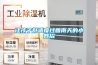 讓孩子舒適度過回南天的小妙招