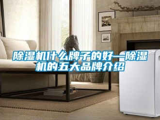 企業新聞除濕機什么牌子的好—除濕機的五大品牌介紹