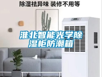 常見問題淮北智能光學除濕柜防潮箱