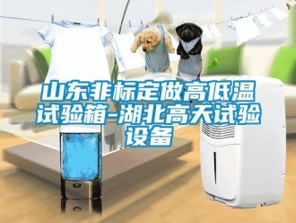 常見問題山東非標定做高低溫試驗箱-湖北高天試驗設備